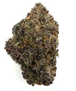 Purple Dino THCa flower