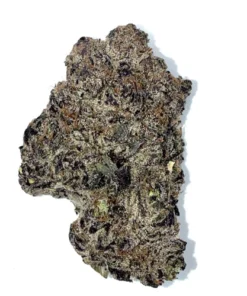 purple lambos thca flower