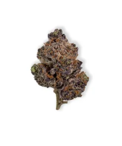 raspberry parfait thca flower