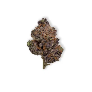 raspberry parfait thca flower